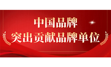 galaxy银河官网首页获评“突出贡献品牌单位”,树立中国品牌标杆力量